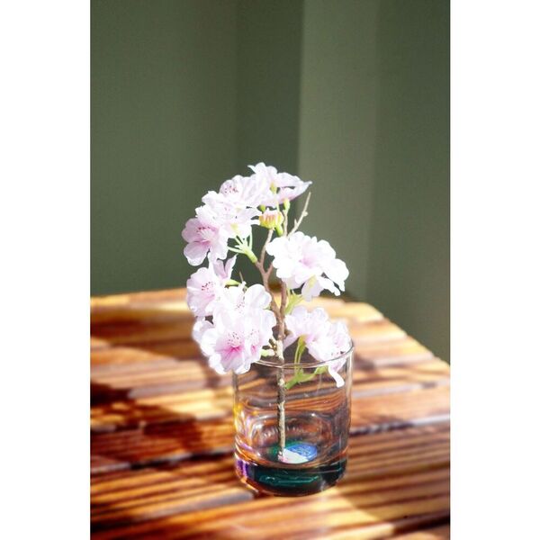 サザンオールスターズ／LIVE TOUR 2025 「THANK YOU SO MUCH