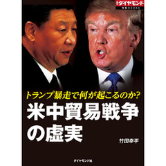 米中貿易戦争の虚実（週刊ダイヤモンド特集BOOKS Vol.336）―――トランプ暴走で何が起こるのか？