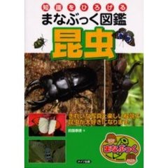 昆虫