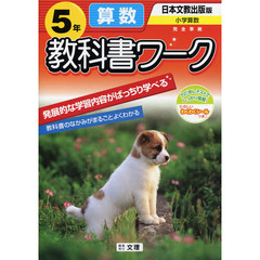 日文版　算数　５年