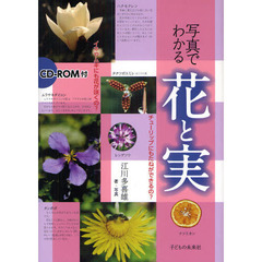 写真でわかる花と実