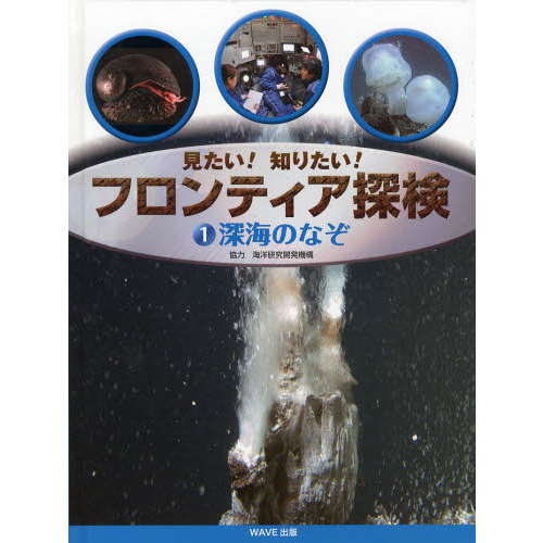 ֥ͥåȥåԥ󥰤㤨ֿΤʤפβǤʤ3,300ߤˤʤޤ