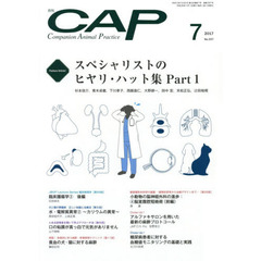 ＣＡＰ　３３７