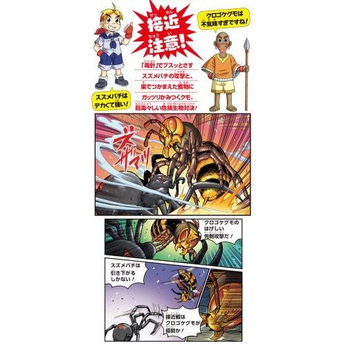 どっちが強い！？ハチVS（たい）クモ 危険生物の必殺バトル 通販