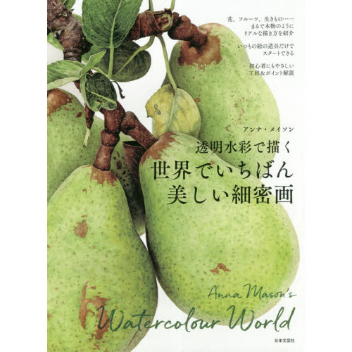 透明水彩で描く世界でいちばん美しい細密画 通販 セブンネットショッピング 透明水彩で描く世界でいちばん美しい細密画 通販 セブンネットショッピング
