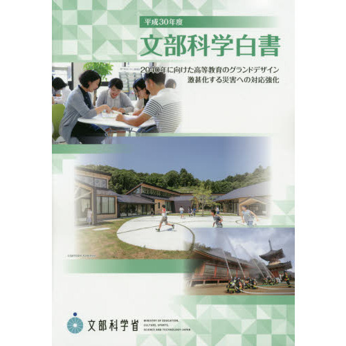 2040ǯ˸Υɥǥβ