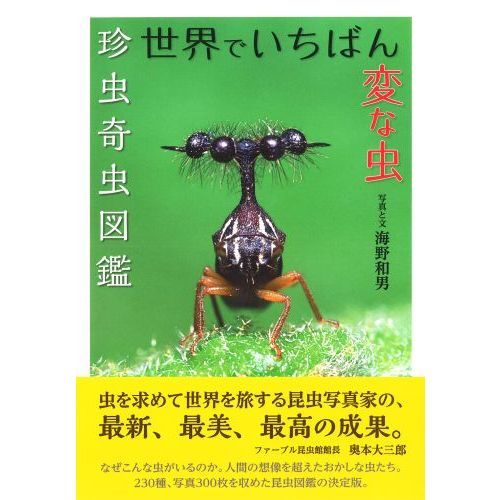 世界でいちばん変な虫 珍虫奇虫図鑑 通販｜セブンネットショッピング