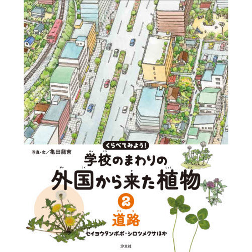 襦ݥ β