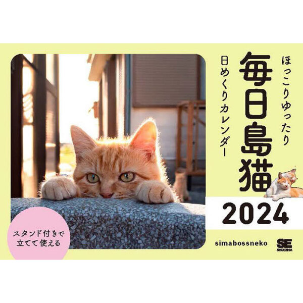 日めくりニャンコ❤️2024年 卓上日めくりカレンダー猫版 - その他