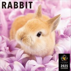 ラビット 2025年カレンダー