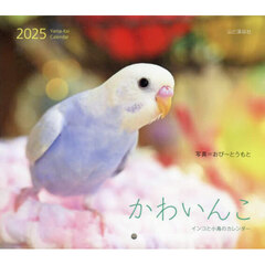 カレンダー　’２５　かわいんこ