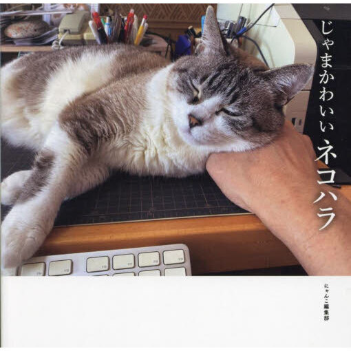 じゃまかわいいネコハラ 通販｜セブンネットショッピング