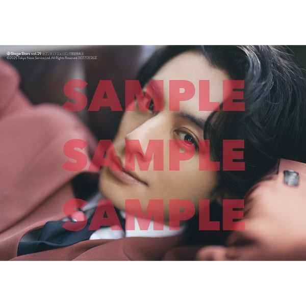 TVガイドStage Stars vol.29 セブンネットショッピング限定表紙版