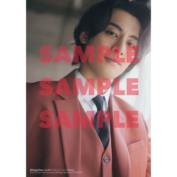 TVガイドStage Stars vol.29 セブンネットショッピング限定表紙版
