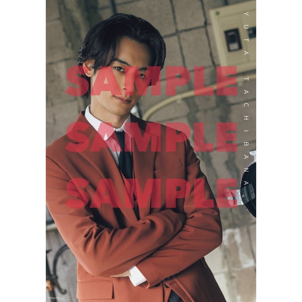 TVガイドStage Stars vol.29 セブンネットショッピング限定表紙版