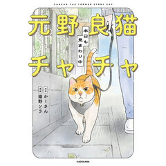 元野良猫チャチャ　本日も見まわり中