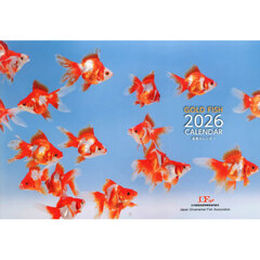 ２０２６金魚カレンダー