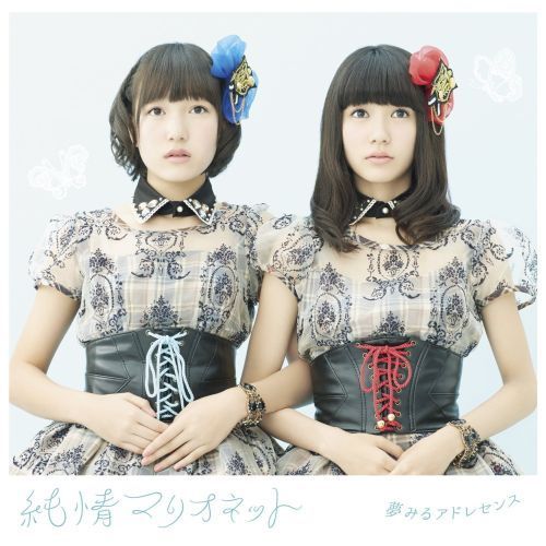 マリオネット 815uD+93A6L._UF350,350_QL50_.jpg