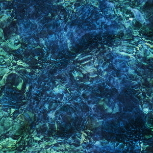 ֥ͥåȥåԥ󥰤㤨ջԻҡLuminescent CreaturesCDˡפβǤʤ3,300ߤˤʤޤ