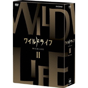 ワイルドライフ DVD-BOX II（ＤＶＤ）