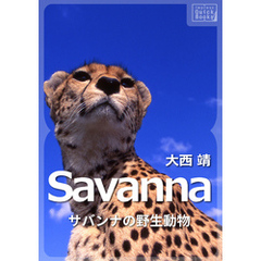 Savanna ～サバンナの野生動物～
