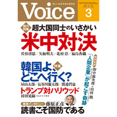 Voice 平成29年3月号
