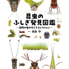 昆虫のふしぎ発見図鑑 近所の虫のすごさコレクション