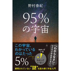 95％の宇宙　解明されていない“謎”を読み解く宇宙入門