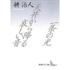 一条の光・天井から降る哀しい音