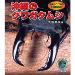 沖縄のクワガタムシ