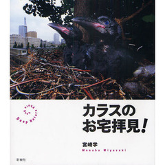カラスのお宅拝見！