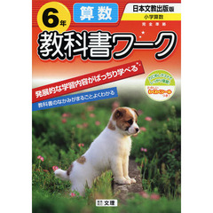 日文版　算数　６年