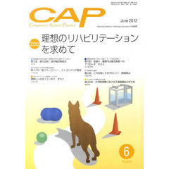 ＣＡＰ　２７６