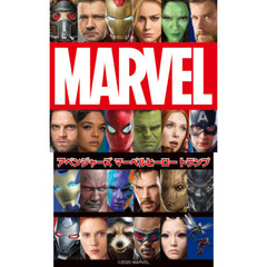 スタン・リー サイン付き アイアンマン アイアンマン アイアンマンの