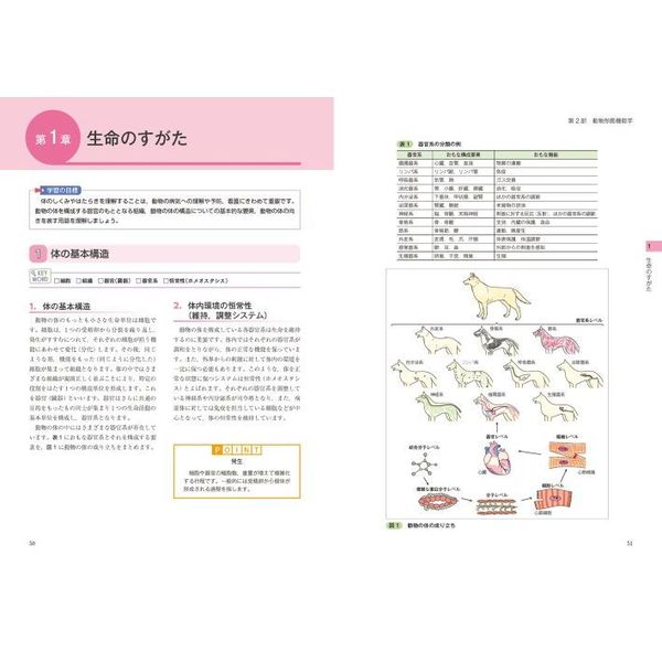 本日の目玉 看護形態機能学 生活行動からみるからだ