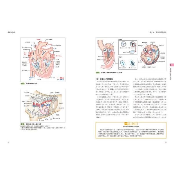 愛玩動物看護師問題集