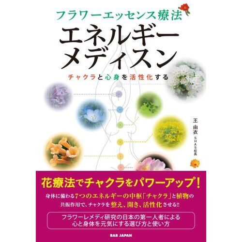 初版】エネルギー・メディスン 【公式通販】