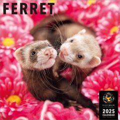 フェレット 2025年カレンダー