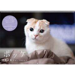 ポッケ　2026年カレンダー
