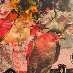 ֥ͥåȥåԥ󥰤㤨DoubleBeatSequencerVol3פβǤʤ2,200ߤˤʤޤ