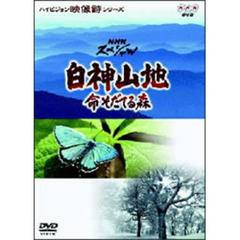 ハイビジョン映像詩シリーズ NHKスペシャル 白神山地 命そだてる森（ＤＶＤ）