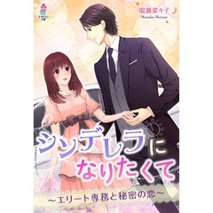 シンデレラになりたくて～エリート専務と秘密の恋～