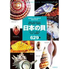 日本の貝：温帯域・浅海で見られる種の生態写真＋貝殻標本