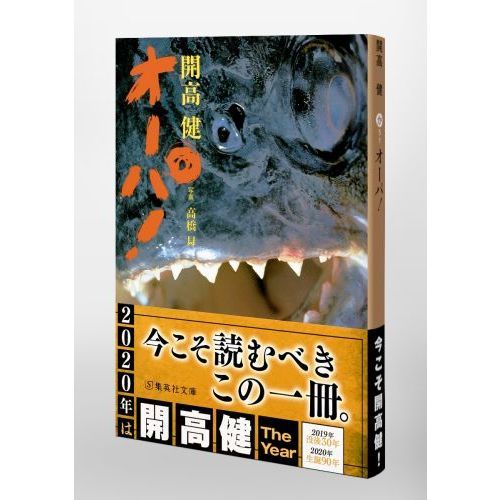 開高健 オーパ、オーパ！他 大型本 7冊セット 送料込み 開高健 オーパ、オーパ！他 大型本 7冊セット 送料込み