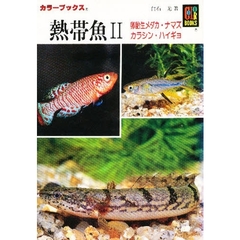 熱帯魚　２　卵胎生メダカ・ナマズ　カラシン・ハイギョ