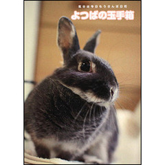 よつばの玉手箱　気分は今日もうさんぽ日和