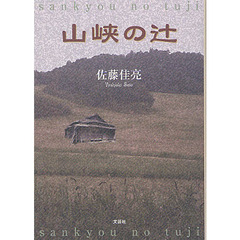 山峡の辻