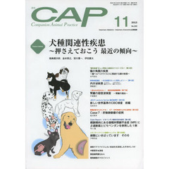 ＣＡＰ　２９３