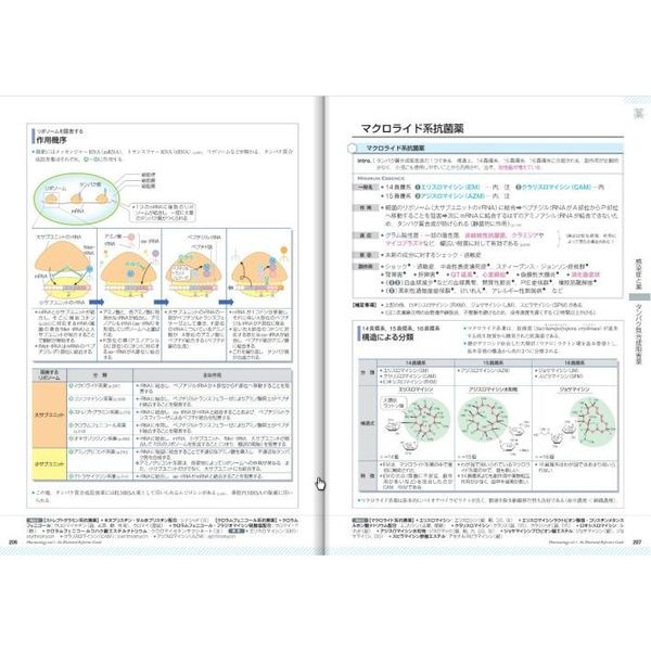 薬がみえる ｖｏｌ．３ 消化器系の疾患と薬 呼吸器系の疾患と薬 感染症