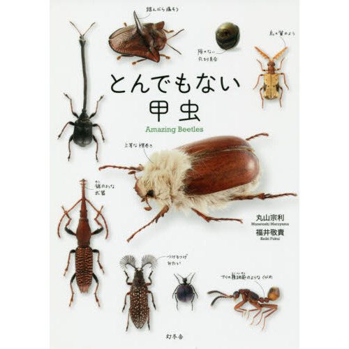 とんでもない甲虫 通販｜セブンネットショッピング